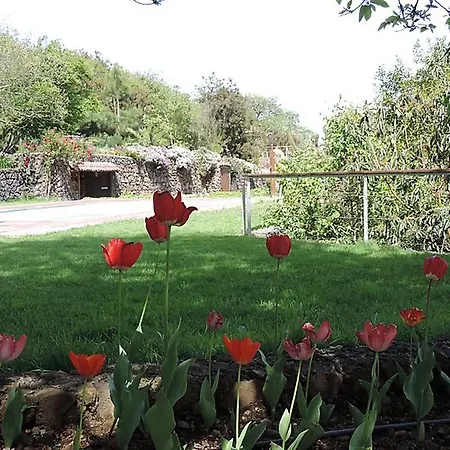 Villa Casa Bencomo